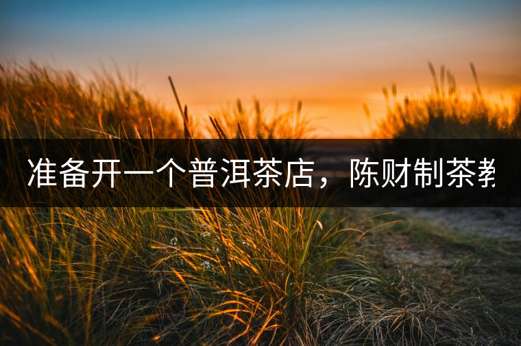準(zhǔn)備開一個(gè)普洱茶店，陳財(cái)制茶教你怎么做！