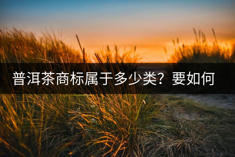 普洱茶商標(biāo)屬于多少類？要如何注冊