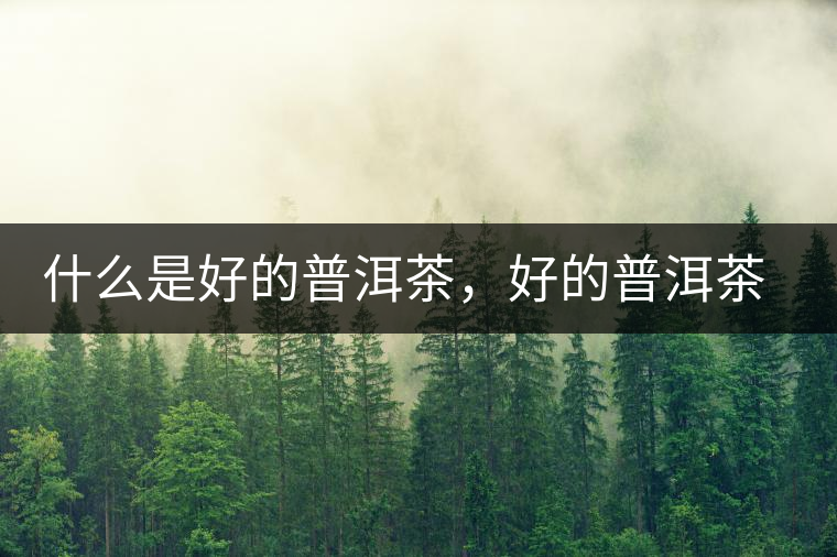 什么是好的普洱茶，好的普洱茶必須要有好的工藝！