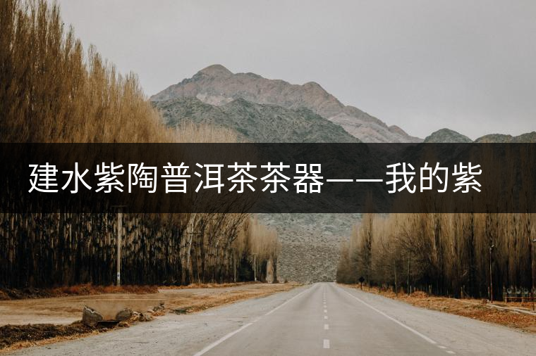 建水紫陶普洱茶茶器——我的紫陶收藏經(jīng)歷