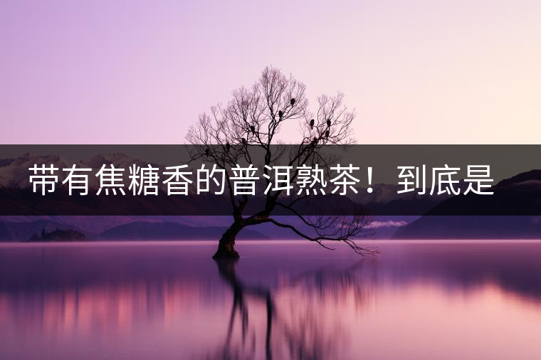 帶有焦糖香的普洱熟茶！到底是好是壞？