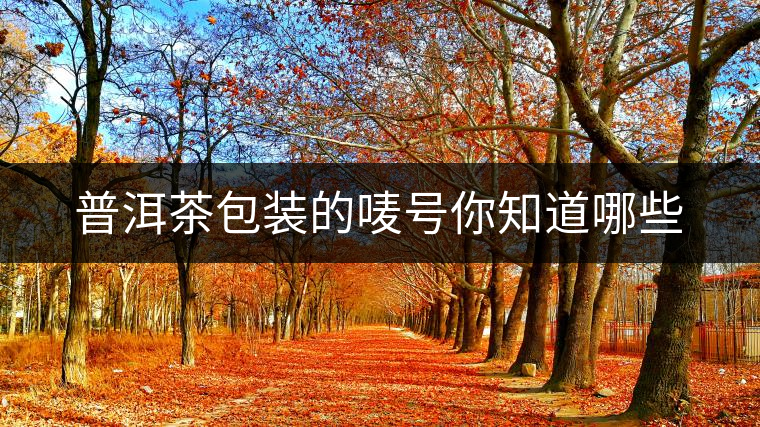 普洱茶包裝的嘜號(hào)你知道哪些 普洱茶包裝的嘜號(hào)你知道哪些