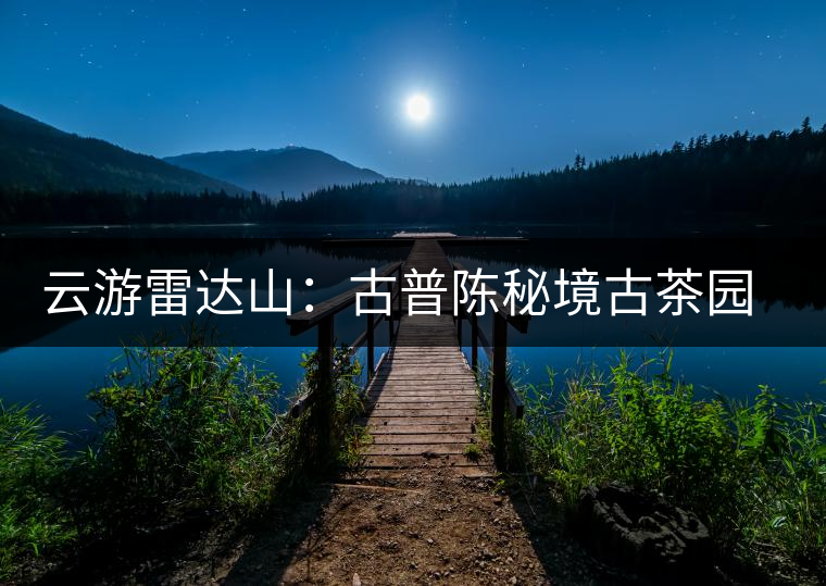 云游雷達(dá)山：古普陳秘境古茶園，品第一杯春鮮