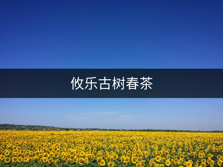 攸樂(lè)古樹春茶 攸樂(lè)古樹春茶