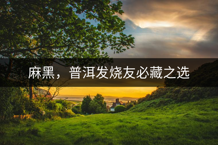 麻黑，普洱發(fā)燒友必藏之選