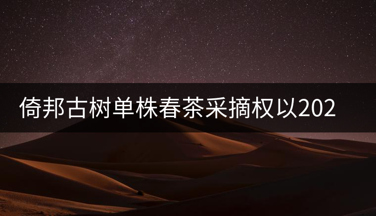 倚邦古樹單株春茶采摘權以202萬成交 倚邦古樹單株春茶采摘權以202萬成交
