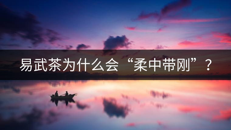 易武茶為什么會“柔中帶剛”？