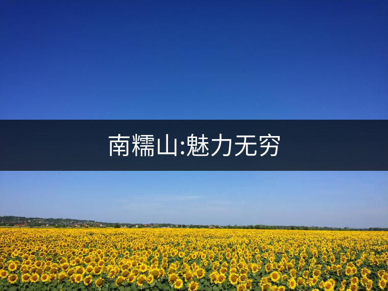 南糯山:魅力無窮 南糯山:魅力無窮