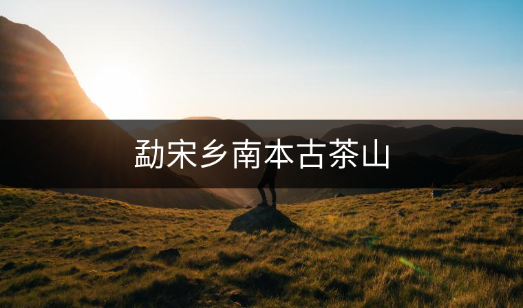 勐宋鄉(xiāng)南本古茶山 勐宋鄉(xiāng)南本古茶山