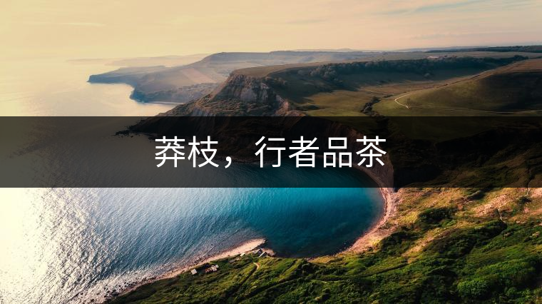 莽枝，行者品茶