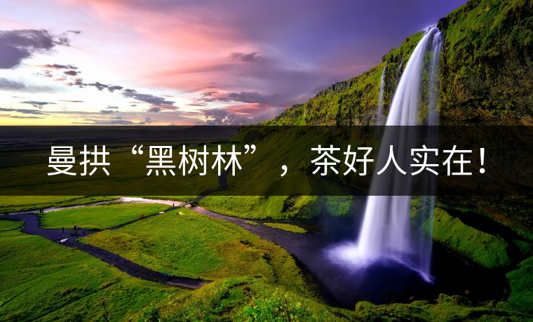 曼拱“黑樹林”，茶好人實在！