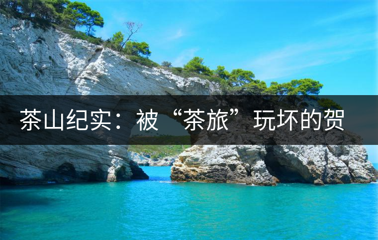 茶山紀(jì)實：被“茶旅”玩壞的賀開古茶園