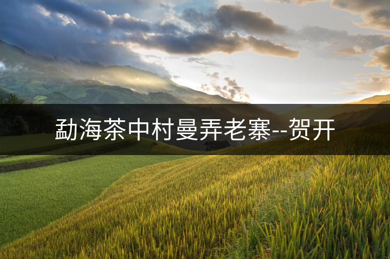勐海茶中村曼弄老寨--賀開 勐海茶中村曼弄老寨--賀開