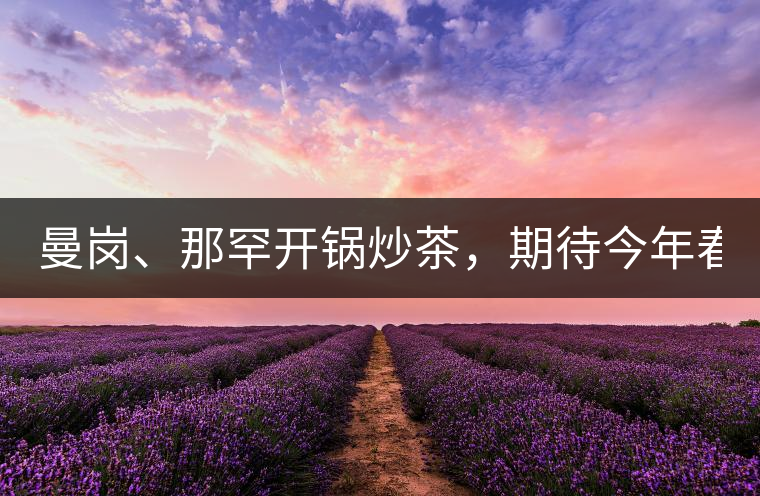 曼崗、那罕開鍋炒茶，期待今年春茶！