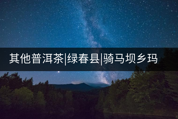 其他普洱茶|綠春縣|騎馬壩鄉(xiāng)瑪玉村古茶園