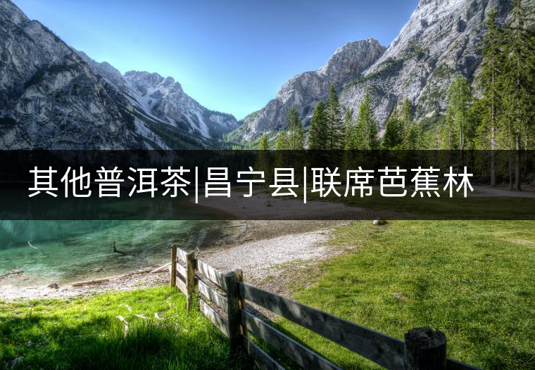 其他普洱茶|昌寧縣|聯(lián)席芭蕉林野生古茶樹(shù)群 其他普洱茶|昌寧縣|聯(lián)席芭蕉林野生古茶樹(shù)群
