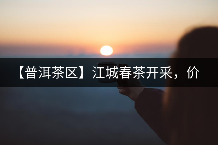 【普洱茶區(qū)】江城春茶開(kāi)采，價(jià)格漲幅小