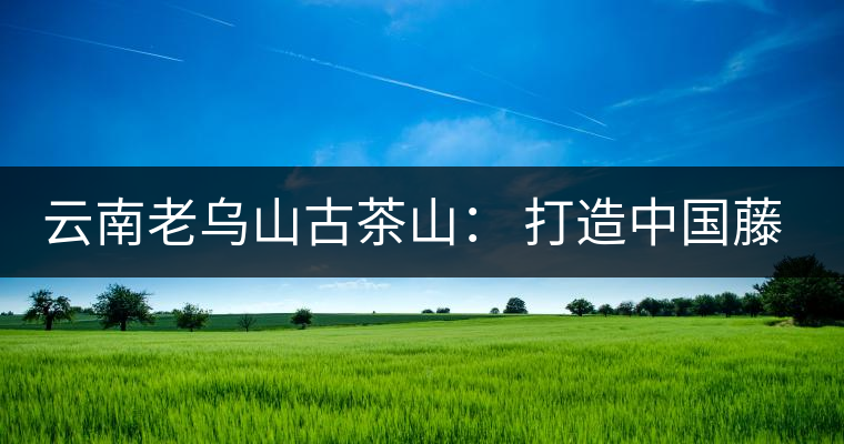 云南老烏山古茶山: 打造中國(guó)藤條茶之鄉(xiāng) 云南老烏山古茶山: 打造中國(guó)藤條茶之鄉(xiāng)