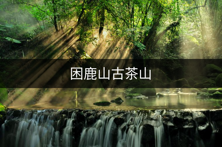 困鹿山古茶山 困鹿山古茶山