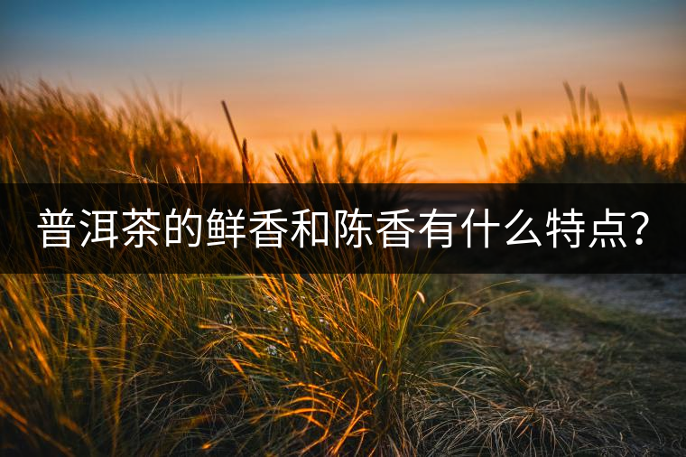 普洱茶的鮮香和陳香有什么特點(diǎn)？
