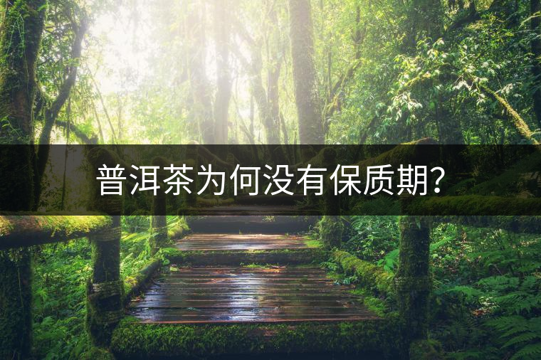 普洱茶為何沒(méi)有保質(zhì)期？