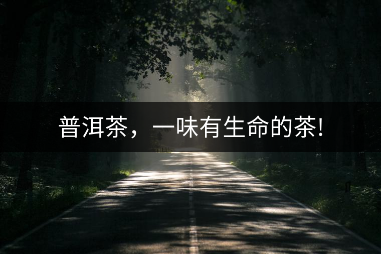 普洱茶，一味有生命的茶!