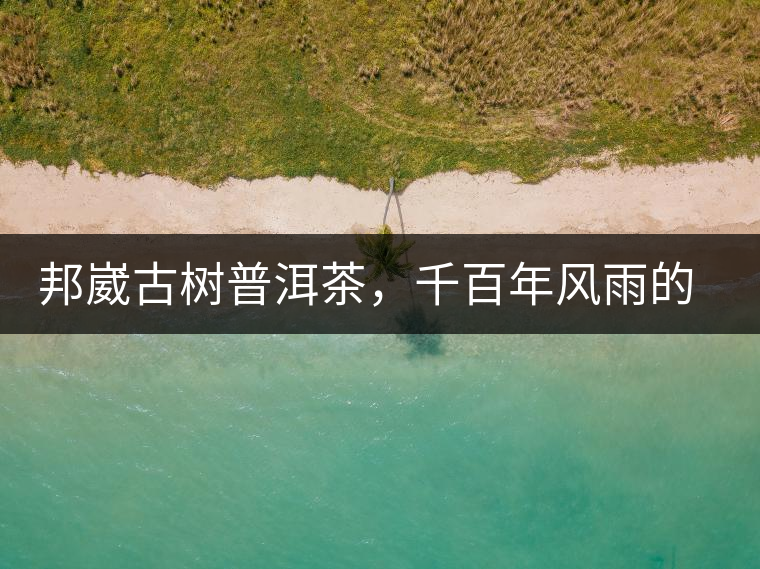 邦崴古樹普洱茶，千百年風(fēng)雨的洗禮
