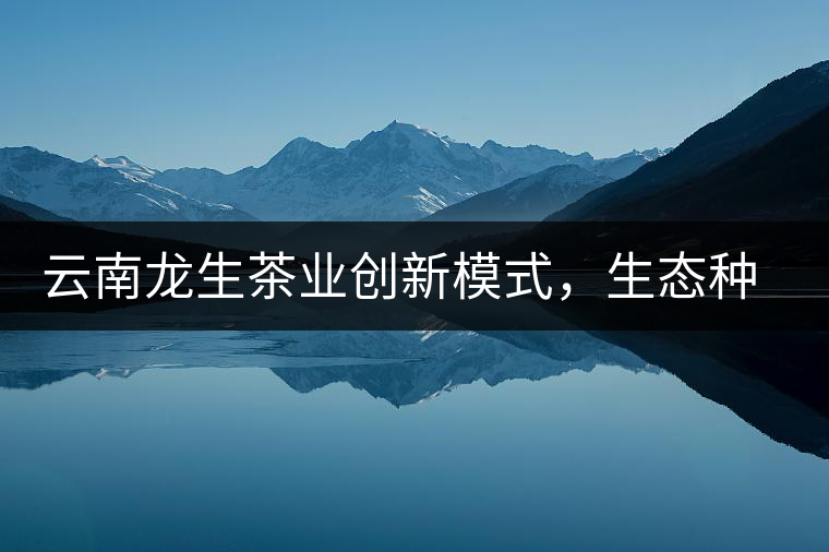 云南龍生茶業(yè)創(chuàng)新模式，生態(tài)種植