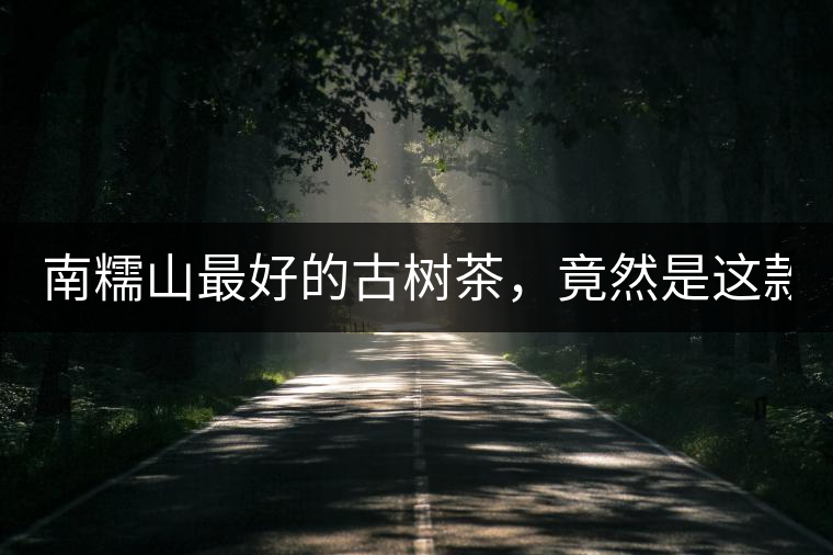 南糯山最好的古樹茶，竟然是這款！