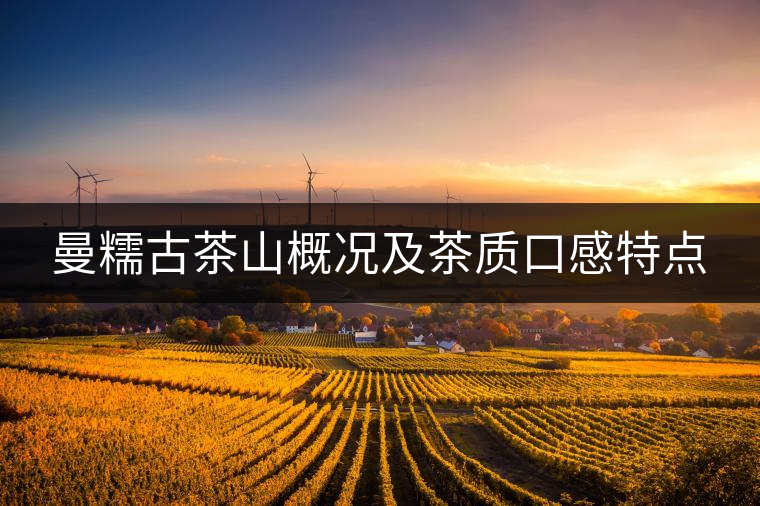 曼糯古茶山概況及茶質口感特點 曼糯古茶山概況及茶質口感特點