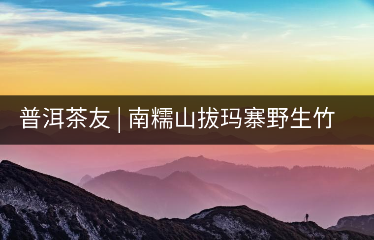 普洱茶友 | 南糯山拔瑪寨野生竹蓀給看過(guò)？