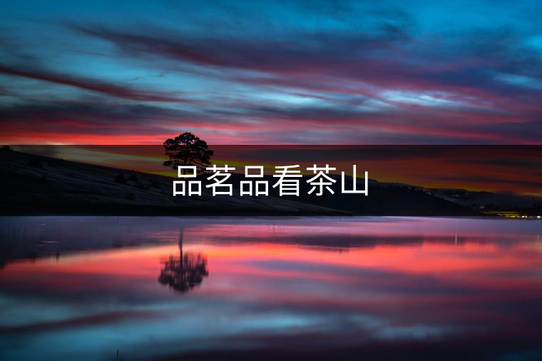 品茗品看茶山 品茗品看茶山