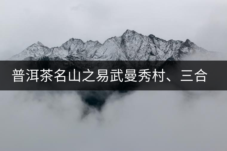 普洱茶名山之易武曼秀村、三合社村