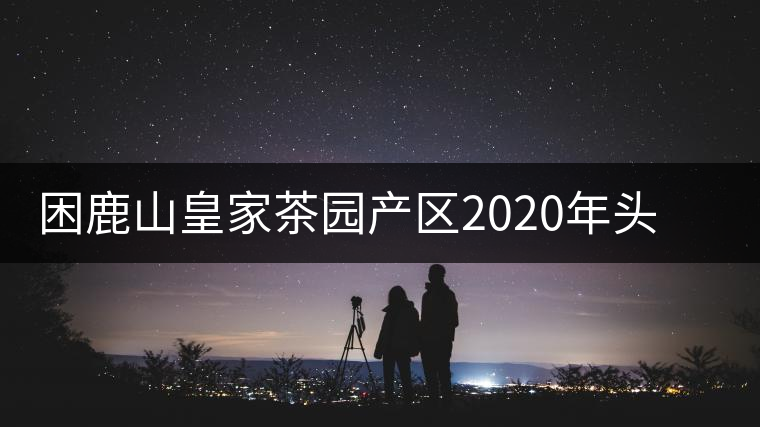 困鹿山皇家茶園產(chǎn)區(qū)2020年頭春古樹，白花林口感特點(diǎn)