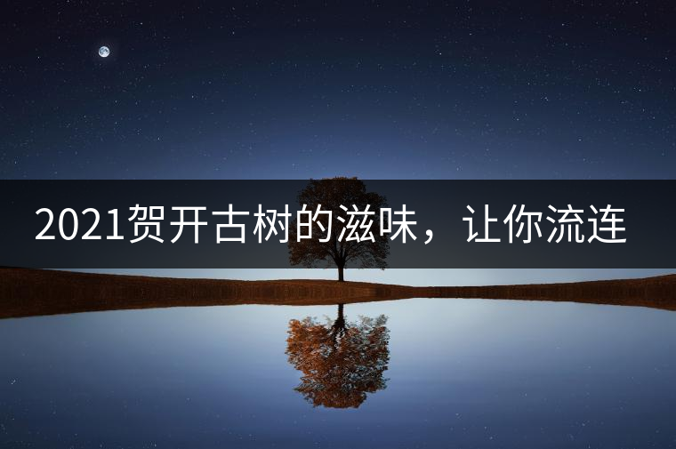 2021賀開古樹的滋味，讓你流連忘返