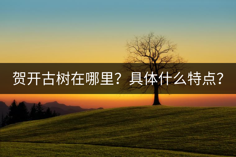 賀開(kāi)古樹(shù)在哪里？具體什么特點(diǎn)？