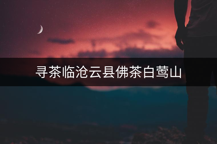 尋茶臨滄云縣佛茶白鶯山 尋茶臨滄云縣佛茶白鶯山