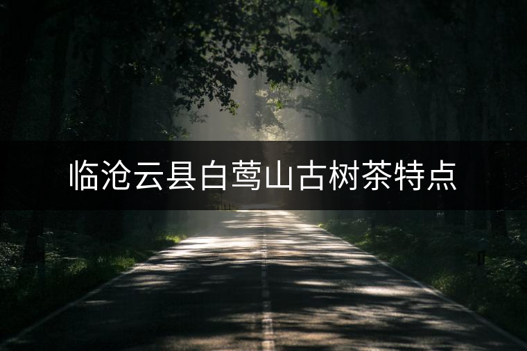 臨滄云縣白鶯山古樹茶特點 臨滄云縣白鶯山古樹茶特點