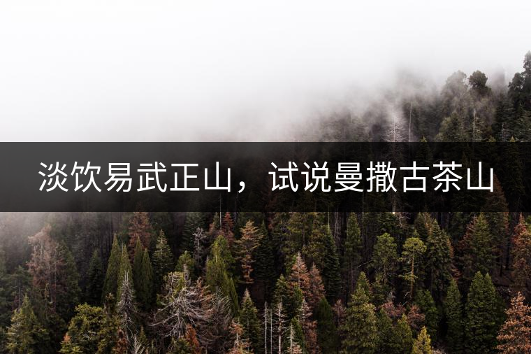 淡飲易武正山，試說曼撒古茶山