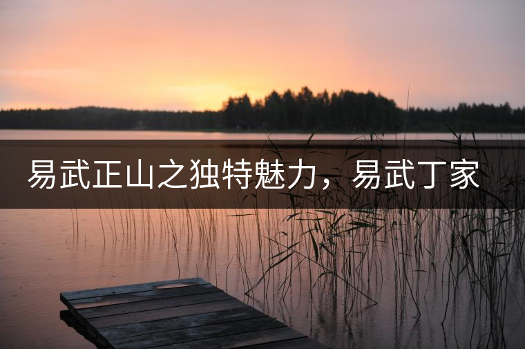 易武正山之獨特魅力，易武丁家寨介紹品鑒