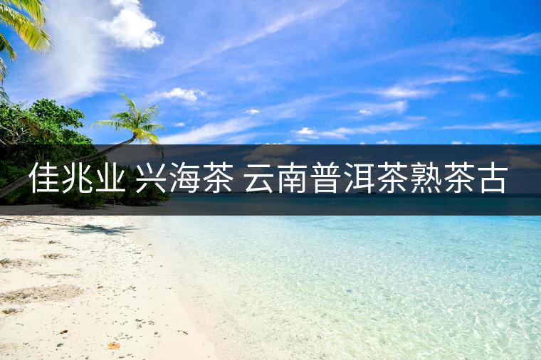 佳兆業(yè) 興海茶 云南普洱茶熟茶古樹(shù)小沱茶勐海茶葉小粒裝60g 佳兆業(yè) 興海茶 云南普洱茶熟茶古樹(shù)小沱茶勐海茶葉小粒裝60g