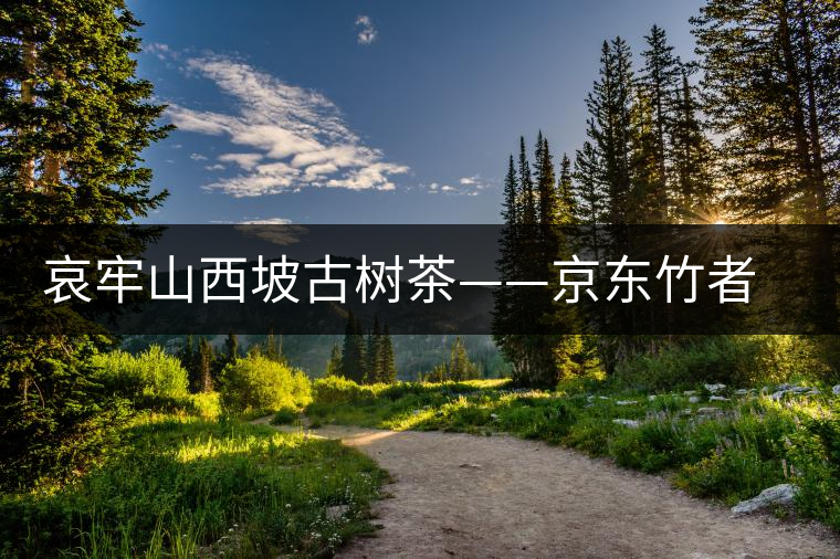 哀牢山西坡古樹(shù)茶——京東竹者村古樹(shù)茶特點(diǎn) 哀牢山西坡古樹(shù)茶——京東竹者村古樹(shù)茶特點(diǎn)