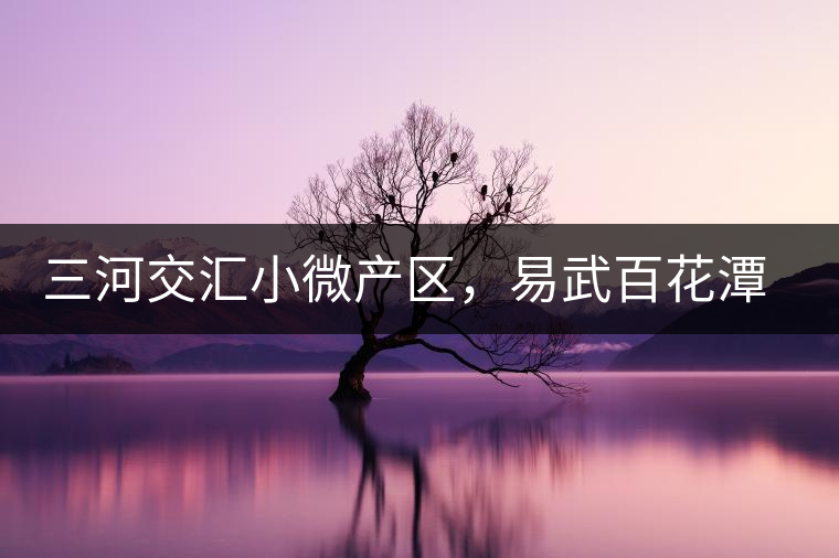 三河交匯小微產(chǎn)區(qū)，易武百花潭古茶園介紹