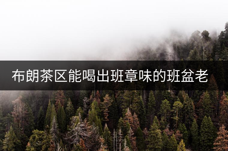 布朗茶區(qū)能喝出班章味的班盆老寨你知道嗎？