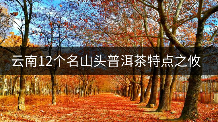 云南12個名山頭普洱茶特點之攸樂篇 云南12個名山頭普洱茶特點之攸樂篇
