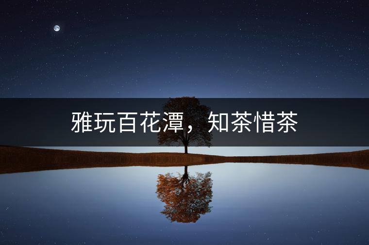 雅玩百花潭，知茶惜茶