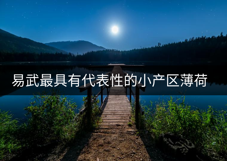 易武最具有代表性的小產(chǎn)區(qū)薄荷塘，一滴都不舍得浪費