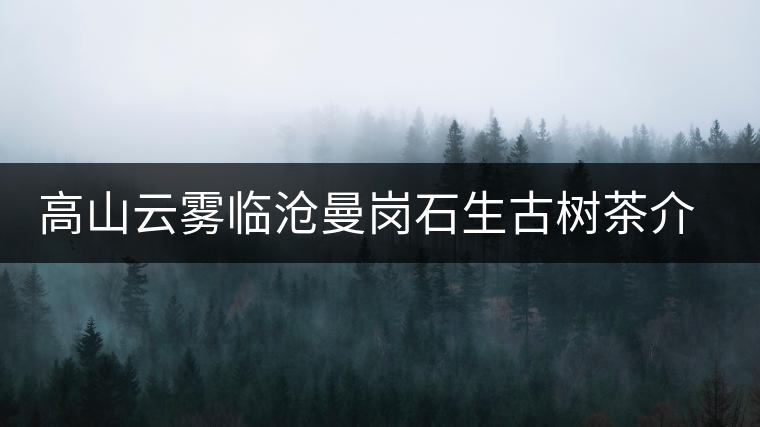 高山云霧臨滄曼崗石生古樹茶介紹 高山云霧臨滄曼崗石生古樹茶介紹