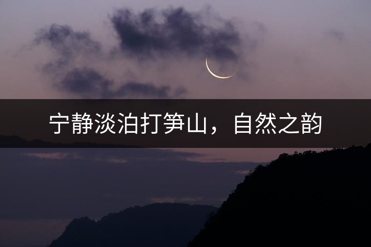 寧?kù)o淡泊打筍山，自然之韻