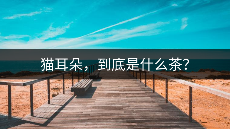 貓耳朵，到底是什么茶？